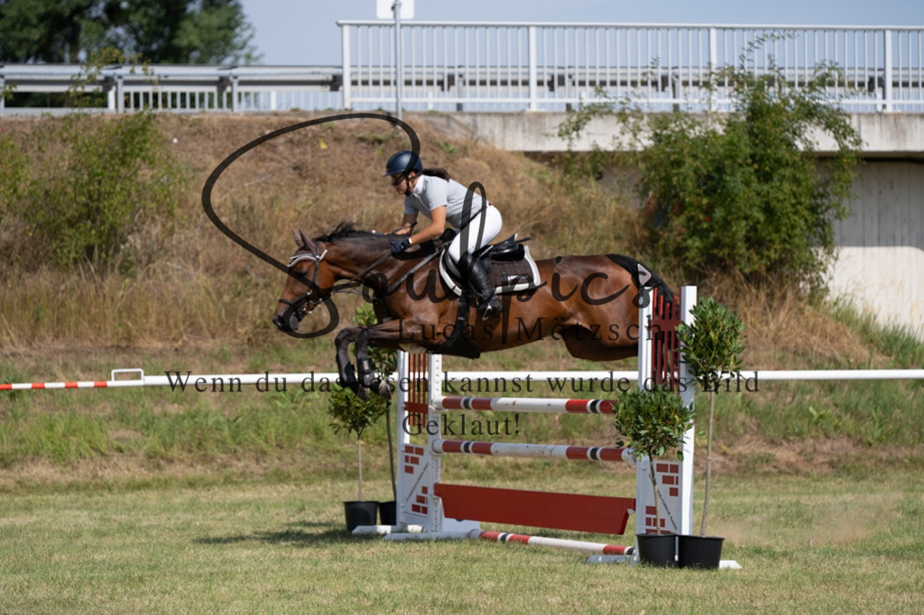 A7V01618 | Turnier/Reitfotograf