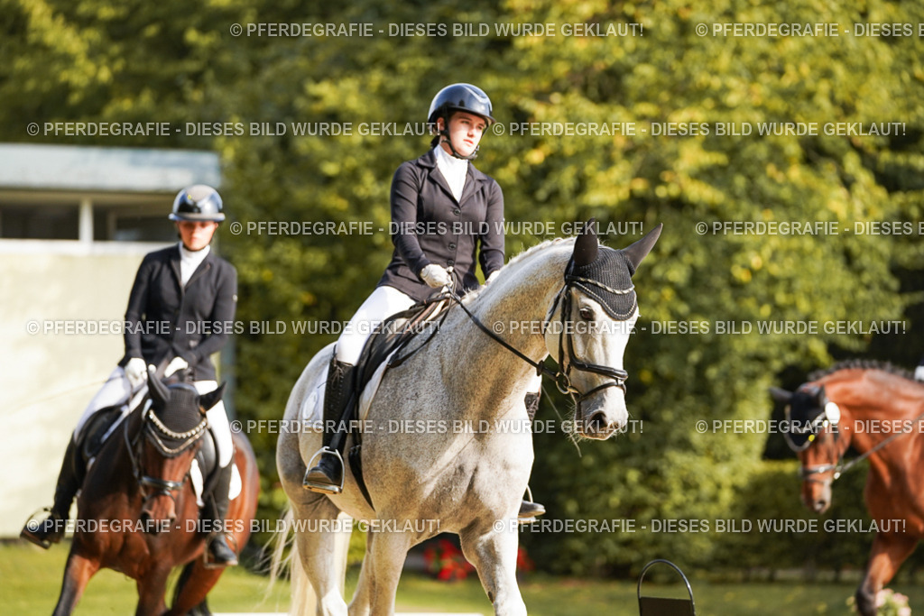 DSC05617 | Pferdegrafie