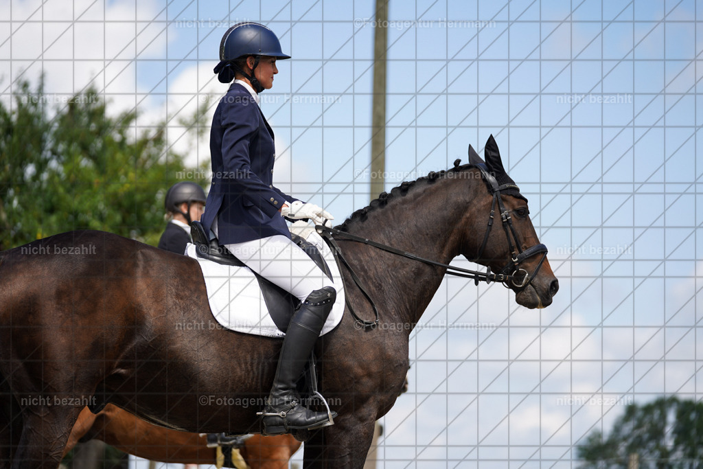 20230826-FAH05522 | Forstinning, 2023, Dressurturnier, Turniersportbilder, Turnierfotografen Bayern, Fotoagentur Herrmann, Reitsportfotografie, Turnierbilder