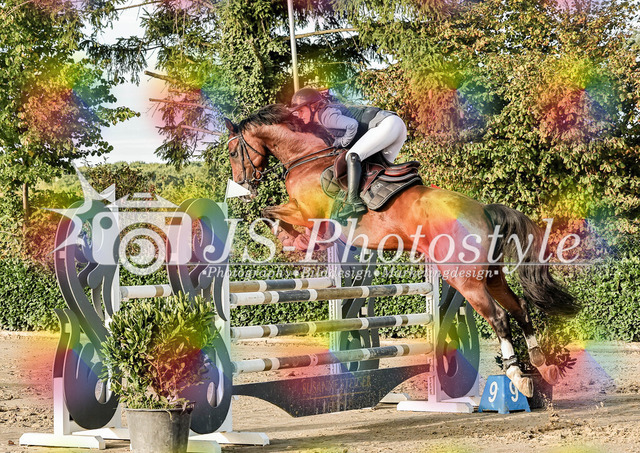 20250829_Springpferdeprfg Kl.L 115cm-87 | JS-Photostyle - Sport-/Portrait- & Eventfotografie