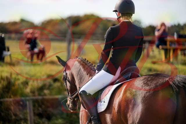 2026_10_03_Siefer-Hof_130931_Z63_71489404 | Professionelle Reitsport-, Turnier- und Eventfotografie von Robert Broda. Galerien mit ausgewählten und bearbeiteten Bildern direkt online ansehen und bestellen.