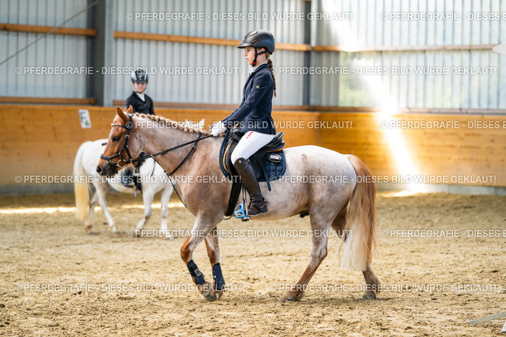 DSC02206 | Pferdegrafie