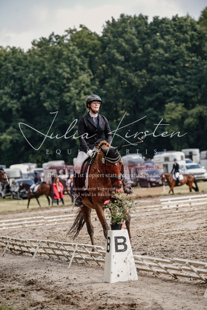 DSC_8965 | Pferde- und Turnierfotografie in Westsachsen. Pferdeportraits, Auftragszeichnungen und intuitive Kunst.