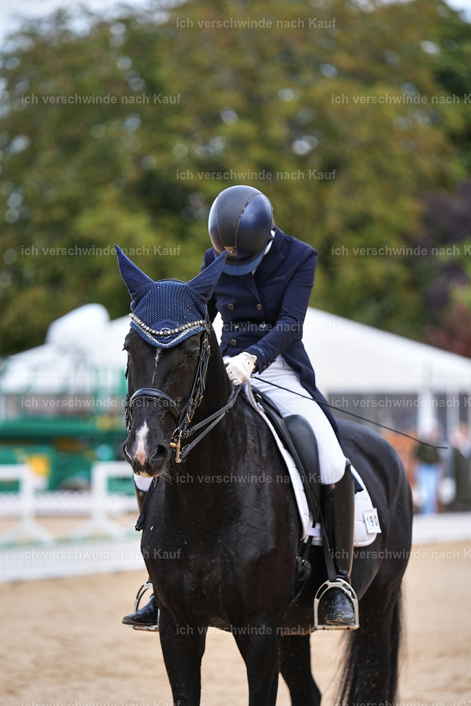 10-190-ST.GEORG SPECIAL -Marixx-3375 | working equitationturnier fotograf videograf stoibphotography marixx film working equitation deutschland reitsport turnierfotografie eventfotografie equestrian events