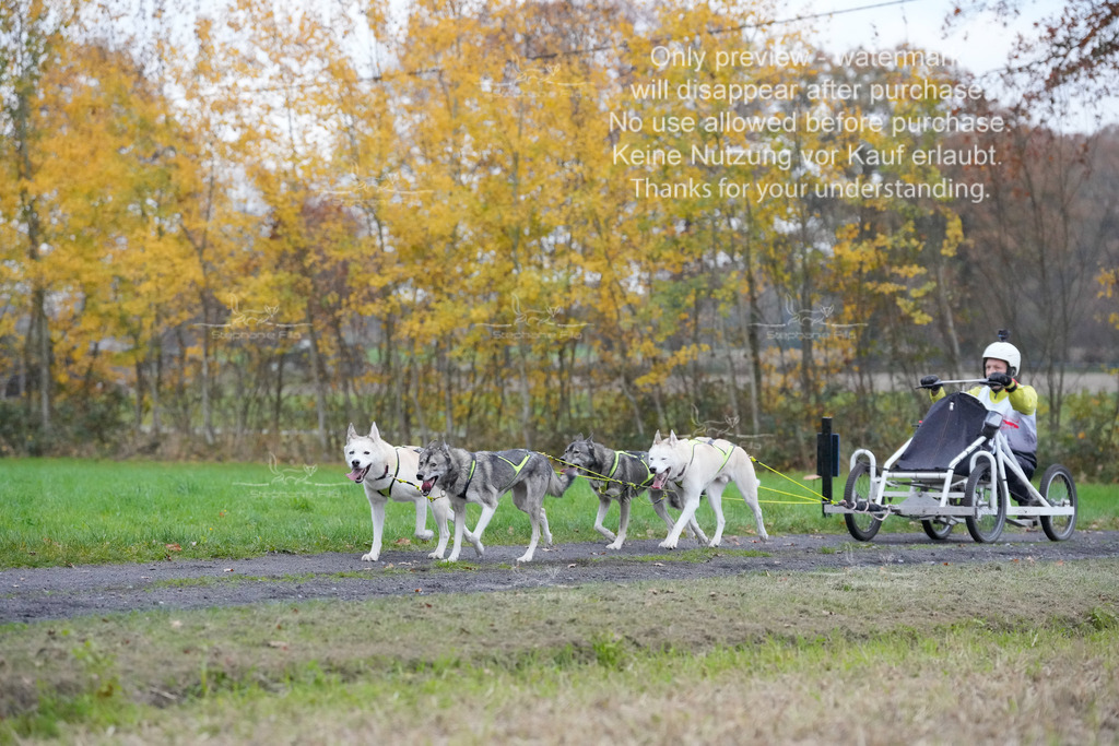 Visbeck_Sa_D4_6-36 | stephaniefillaphotographie - Realisiert mit Pictrs.com