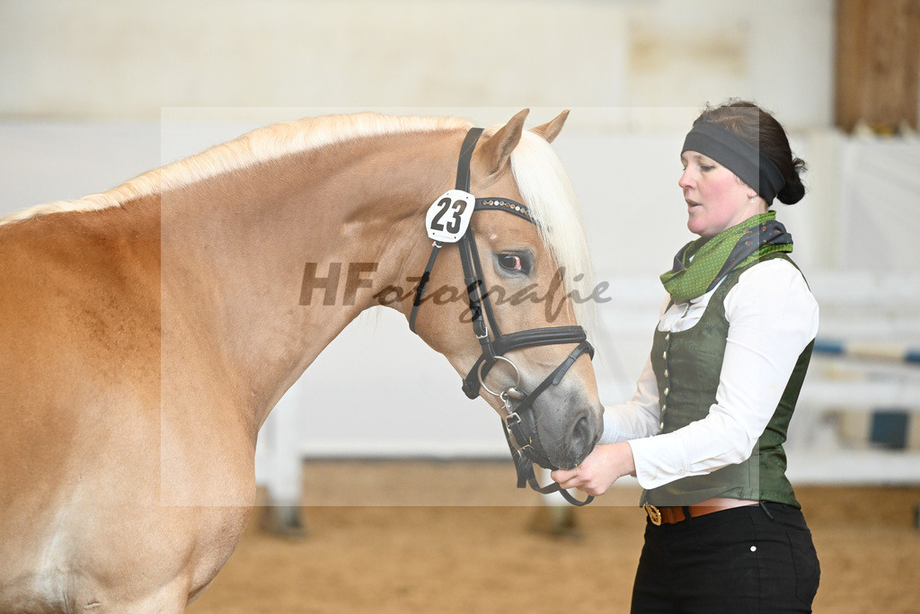Kat-Nr. 23 v. Blitz-U_Wendlinger_6240324 | hf-fotografie - Realisiert mit Pictrs.com