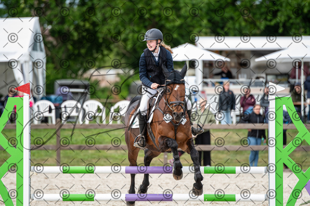 KPT_6971 | andre_photographic