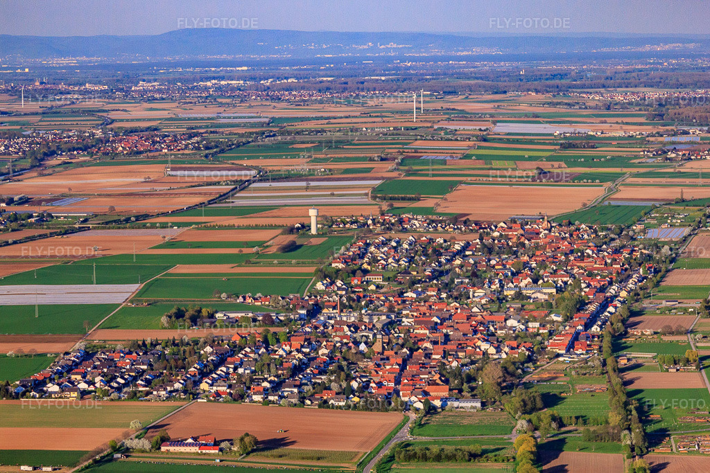 Luftbild: Ortsansicht von Westen im Ortsteil Niederlustadt in Lustadt im Bundesland Rheinland-Pfalz in Deutschland. Foto: IMG_56755.jpg vom 25.04.2013 durch Werner Riehm/FLY-FOTO.deAuflösung des Originals: 4655 x 3103 px