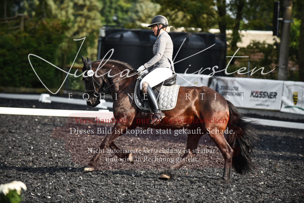 DSC_3310 | Pferde- und Turnierfotografie in Westsachsen. Pferdeportraits, Auftragszeichnungen und intuitive Kunst.