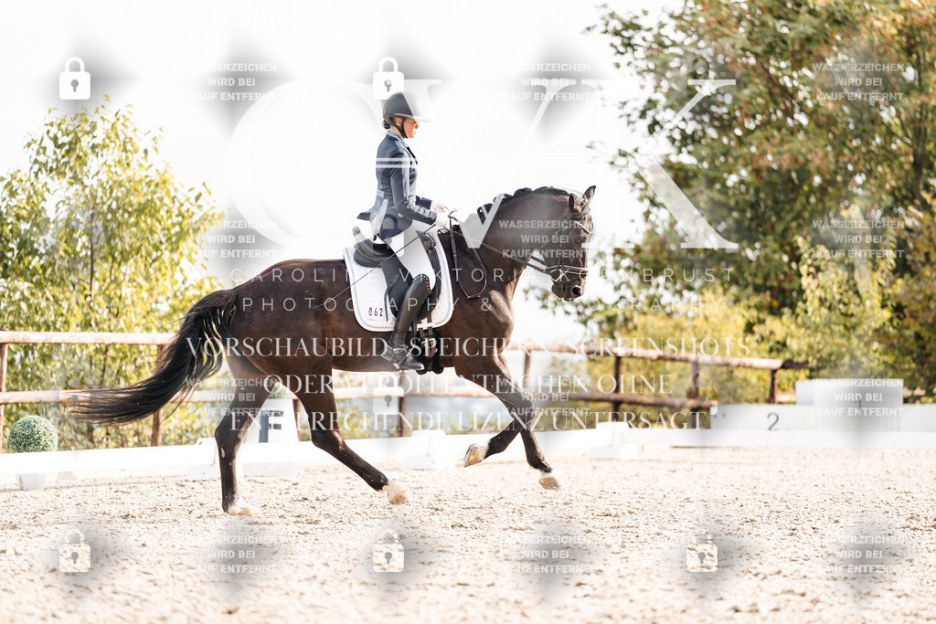 CK901056 | Turnierfotografie Pferdefotografie Trier Rheinland-Pfalz Pferdesport Reitsport Tierfotografie Sportfotografie Pferdevideo Pferdevideografie Equestrianvideography equestrianphotography  - Realisiert mit Pictrs.com