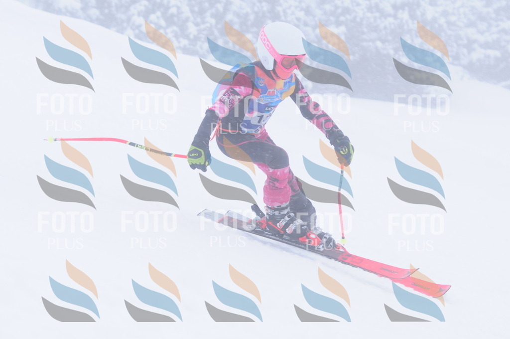 C1936 | holidayphoto