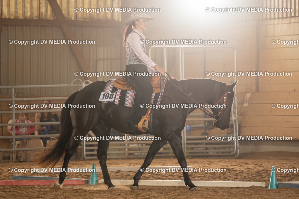 NID02627 | dv-media-shop - Realisiert mit Pictrs.com