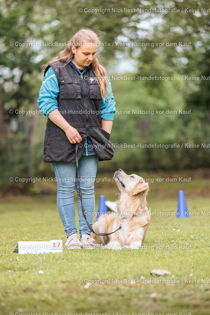 RO-Blumenthal-2026-Nickbest-Hundefotografie-3133 | Dein Hund! Dein Moment! Deine Erinnerungen! Hundefotografie in Bremen Blumenthal. Ich fange die besonderen Momente deines Vierbeiners ein – ob Indoor mit Blitzanlage oder in der freien Natur. Sicher dir dein Moment und dein Termin für eure Erinnerungen.