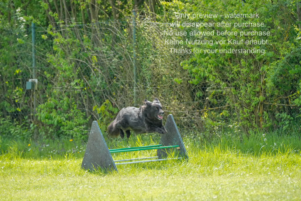 Sa_Laeufe_VK1und2_06-10 | stephaniefillaphotographie - Realisiert mit Pictrs.com