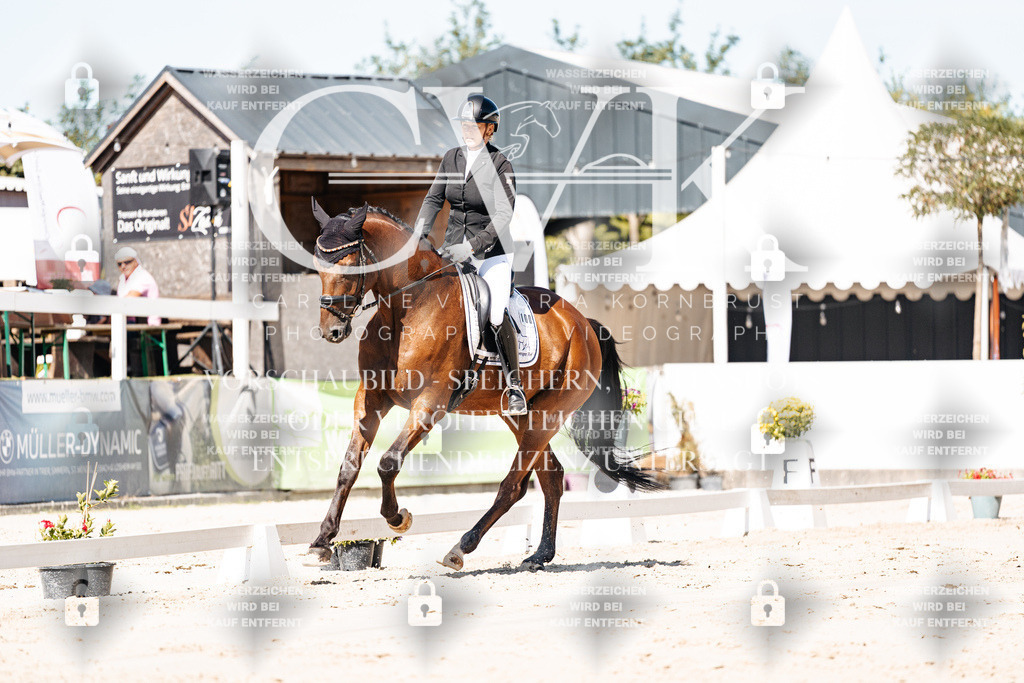CK909184 | Turnierfotografie Pferdefotografie Trier Rheinland-Pfalz Pferdesport Reitsport Tierfotografie Sportfotografie Pferdevideo Pferdevideografie Equestrianvideography equestrianphotography  - Realisiert mit Pictrs.com