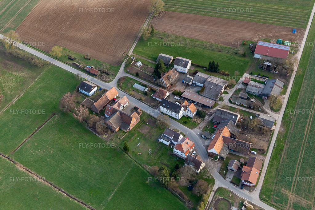 Luftbild: Wein & Sekt Däuwel im Ortsteil Deutschhof in Kapellen-Drusweiler im Bundesland Rheinland-Pfalz in Deutschland. Foto: IMG_126140.jpg vom 20.03.2021 durch Werner Riehm/FLY-FOTO.de