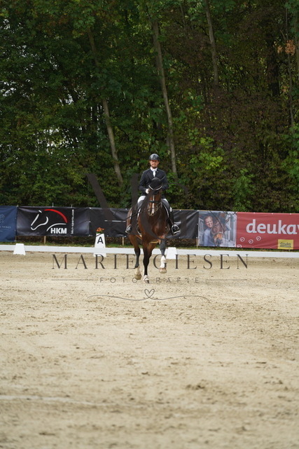 VAN03703 | Marie Giesen Fotografie - Realisiert mit Pictrs.com