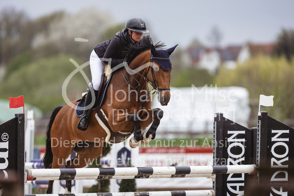 250417_Springpferde-L1-216 | Deine schönsten Turniermomente als professionelle Fotos! Entdecke hochwertige Pferdesport-Fotografie im Online-Shop. Jetzt Fotos finden & bestellen!