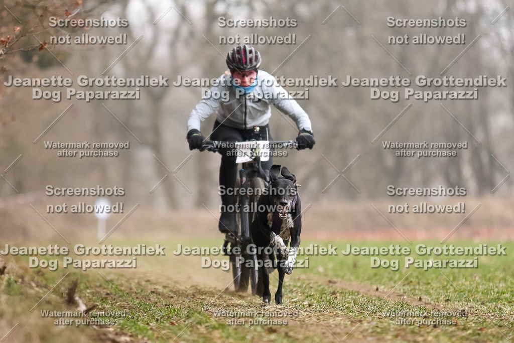 Dog Paparazzi - Plate 2026-27 | Dog Paparazzi Jeanette Grottendiek Fotografie & Videografie - Realisiert mit Pictrs.com