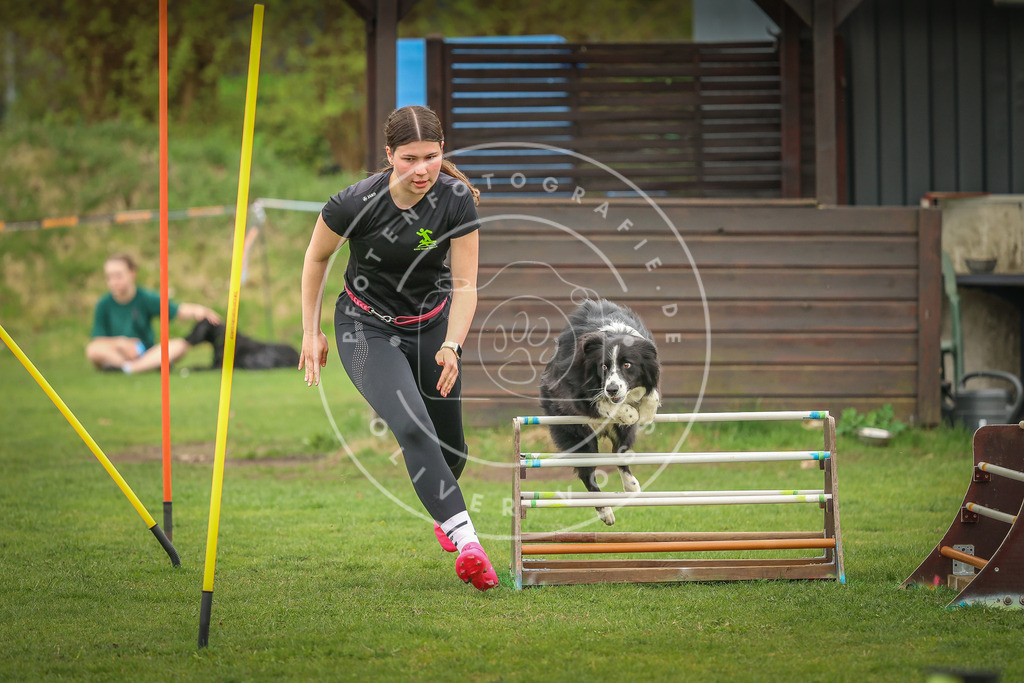 Pfotenfotografie_0L8A0780 | Hundefotografie, Tierfotograf, Pfotenfotografie, Fotoshooting Hund, Hunde Portrait, Hundesport, Hundeportraits, Heideshooting, Hunde, Sportfotograf, Hundefotograf, Turnierhundsport, THS,  - Realisiert mit Pictrs.com