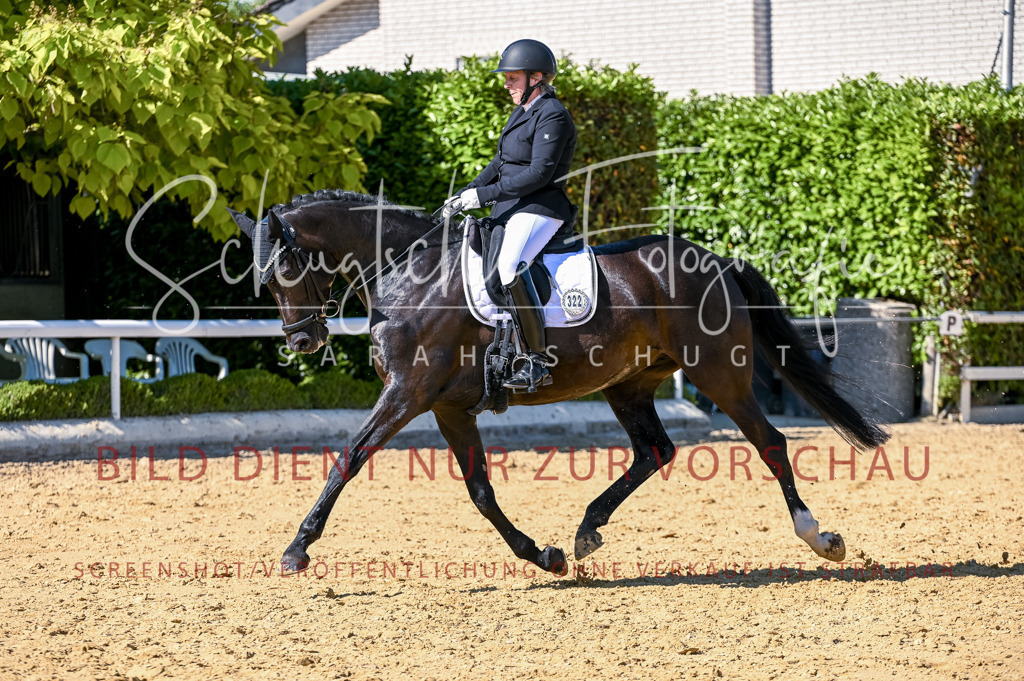 Schugtsche-Aluta25-50.Dressurpferdeprf.L-198 | Schugtsche Fotografie - Realisiert mit Pictrs.com