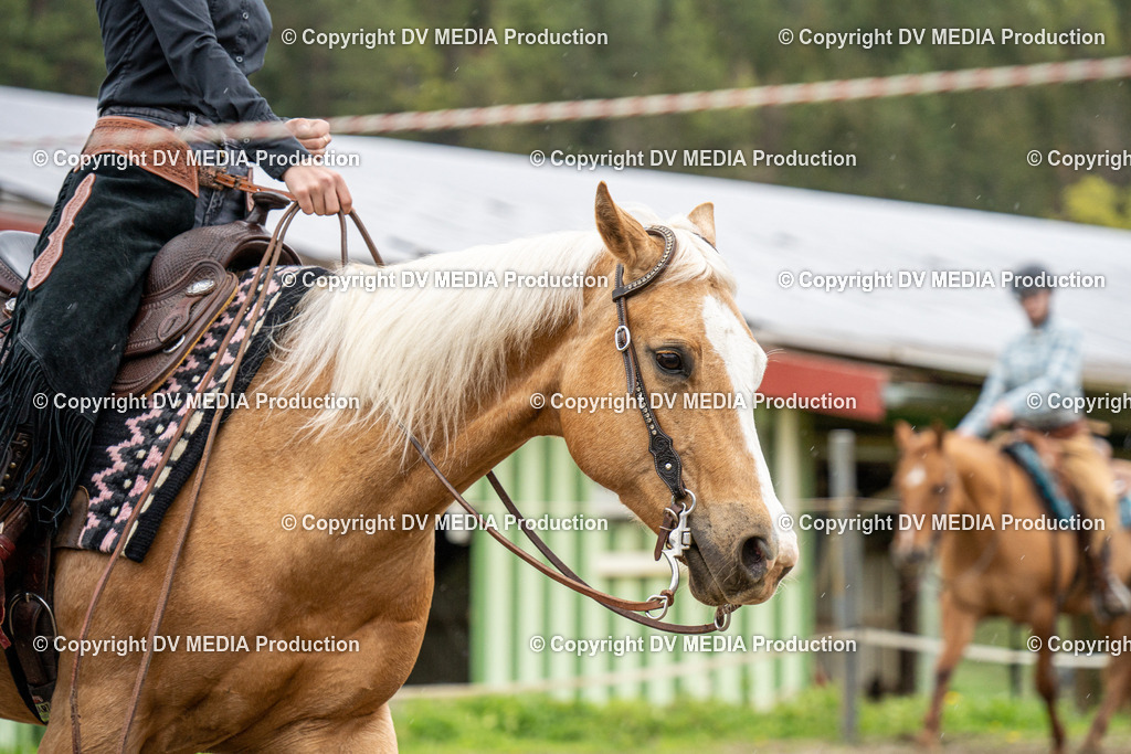 BAL00808 | dv-media-shop - Realisiert mit Pictrs.com