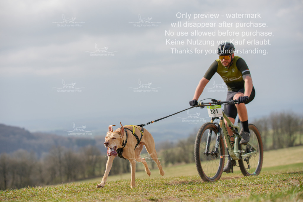 BikeSA-6 | stephaniefillaphotographie - Realisiert mit Pictrs.com