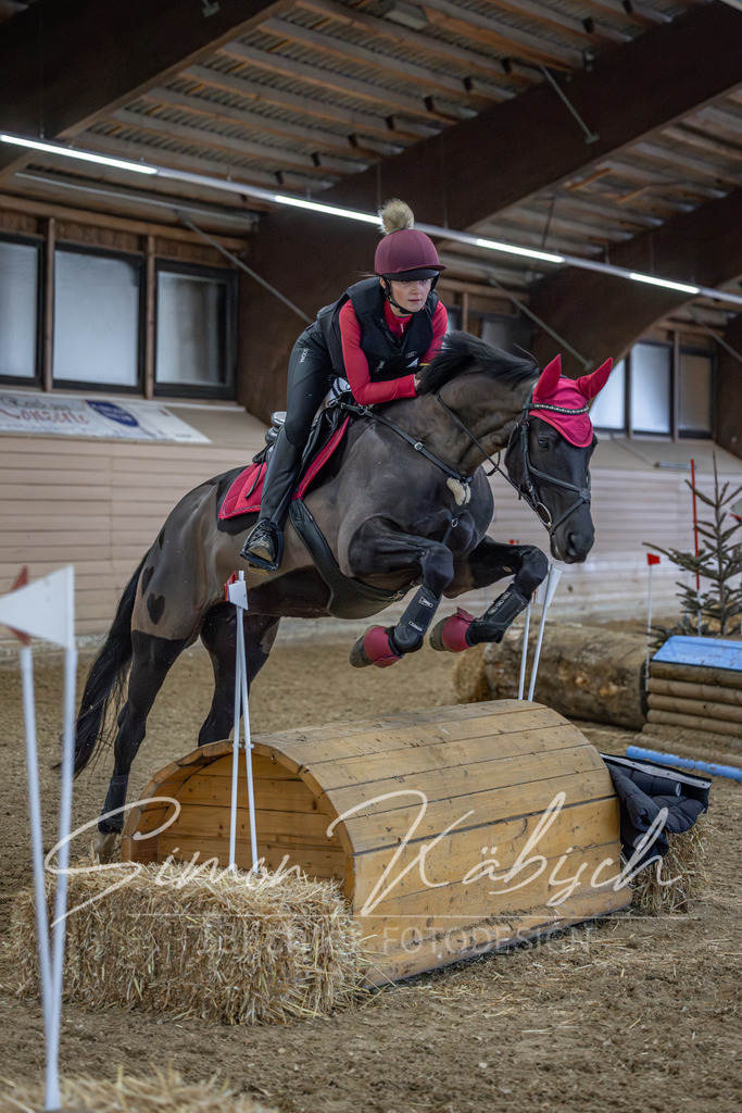 20260222-_3LI2273 | Tierfotografie Pferde, Hunde, Katzen, Haustiere.
Turnierfotografie Reitturniere, Reiten, Springreiten, Dressur in Hanau, dem Main-Kinzig-Kreis und dem Rhein-Main- Gebiet um Frankfurt