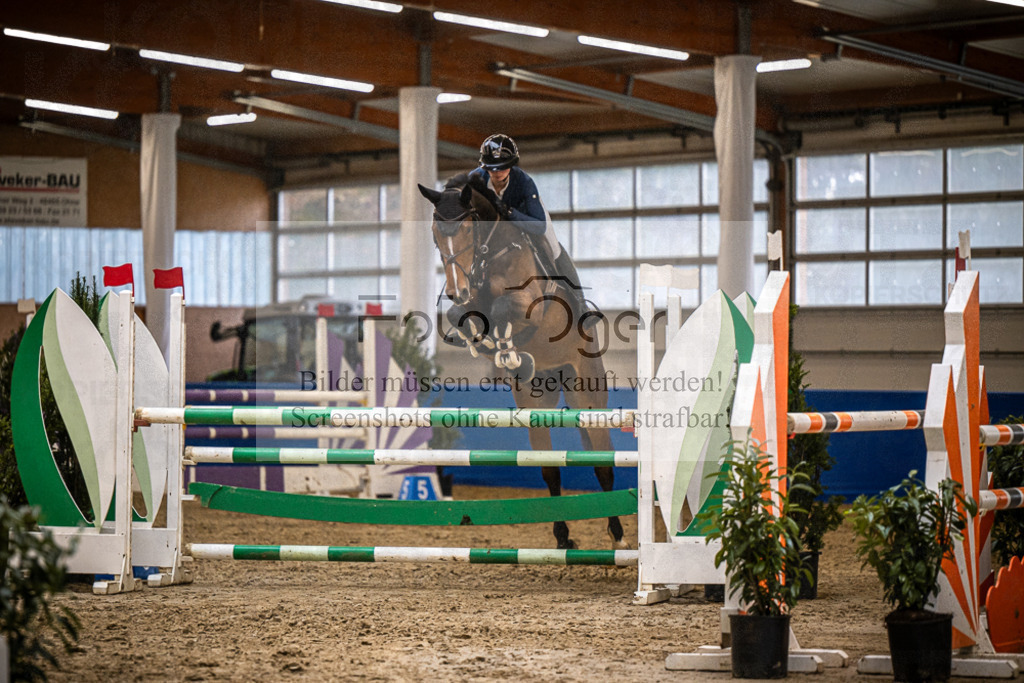 DOS_B1329 | Entdecke hochwertige Reitturnierfotos von Foto Oger. Professionell, emotional und authentisch – jetzt Lieblingsmomente im Shop bestellen.Deutschlandweite Turnierfotografie. - Realisiert mit Pictrs.com