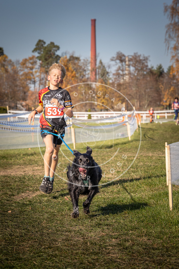 CaniXpix_0L8A7499 | Hundefotografie, Tierfotograf, Pfotenfotografie, Fotoshooting Hund, Hunde Portrait, Hundesport, Hundeportraits, Heideshooting, Hunde, Sportfotograf, Hundefotograf, Turnierhundsport, THS,  - Realisiert mit Pictrs.com
