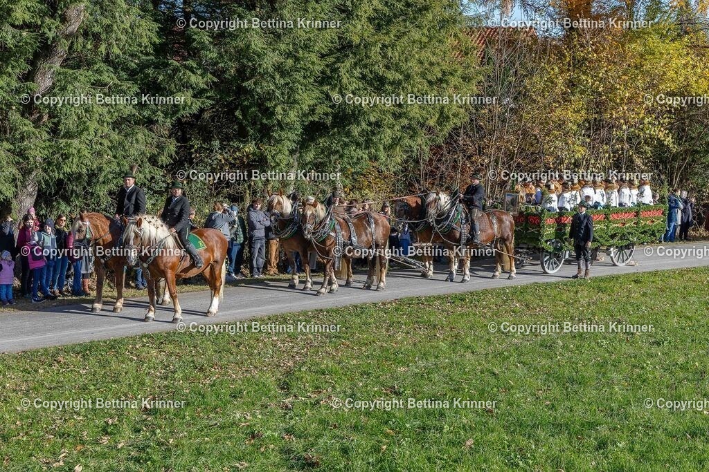 LBT25-235 | foto-bettina-krinner - Realisiert mit Pictrs.com