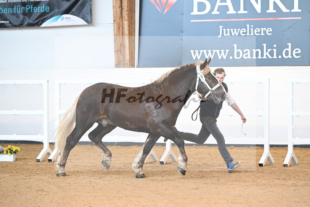 Kat-Nr. 9 v. Nero_Waltenberger_2230093 | hf-fotografie - Realizzato con Pictrs.com