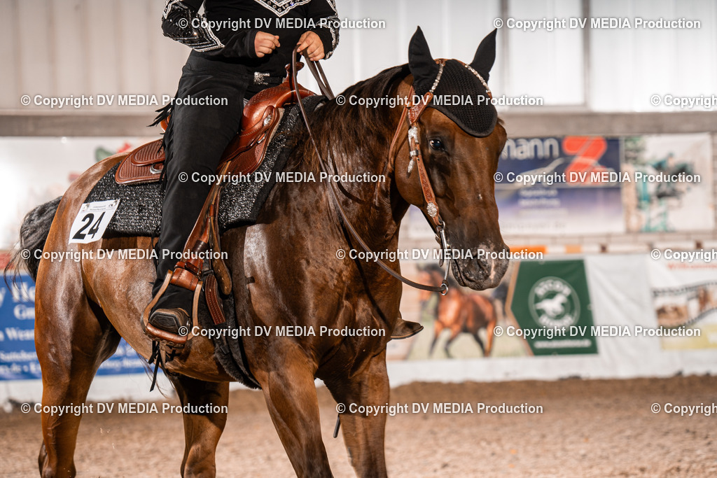 ZH200645 | dv-media-shop - Realisiert mit Pictrs.com