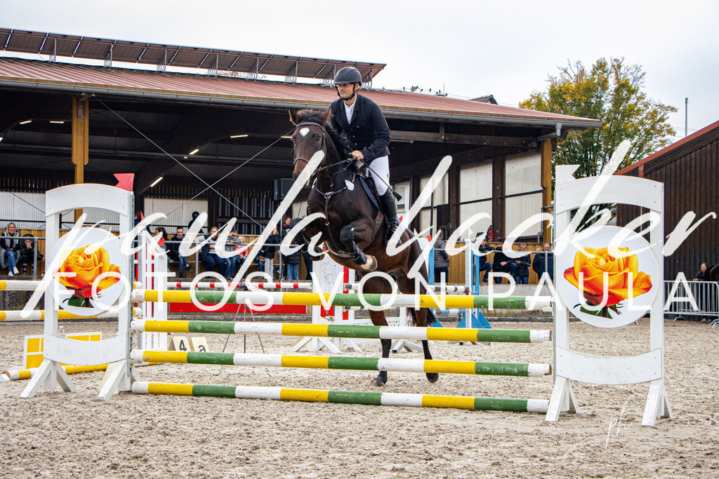 IMG_4223 | Erleben Sie dynamische Sport- und emotionale Tierfotografie in Süddeutschland mit Fotos von Paula. Spezialisiert auf Pferde- und Hundefotografie sowie Sportevents. Kontaktieren Sie mich für einzigartige und ausdrucksstarke Bilder Ihrer besonderen Momente. - Realisiert mit Pictrs.com