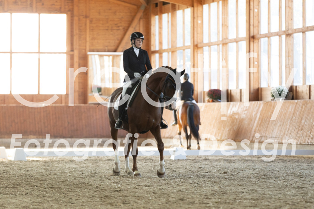 IMG_3555 | Creatify Fotografie