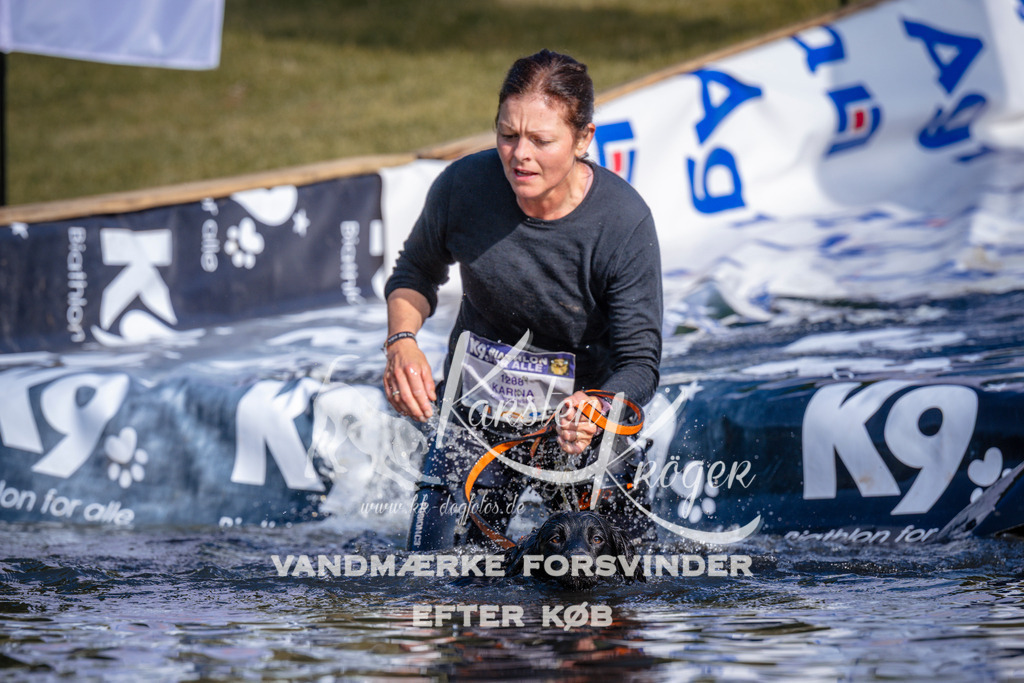 _ZZ949990722 | kk-dogfotos