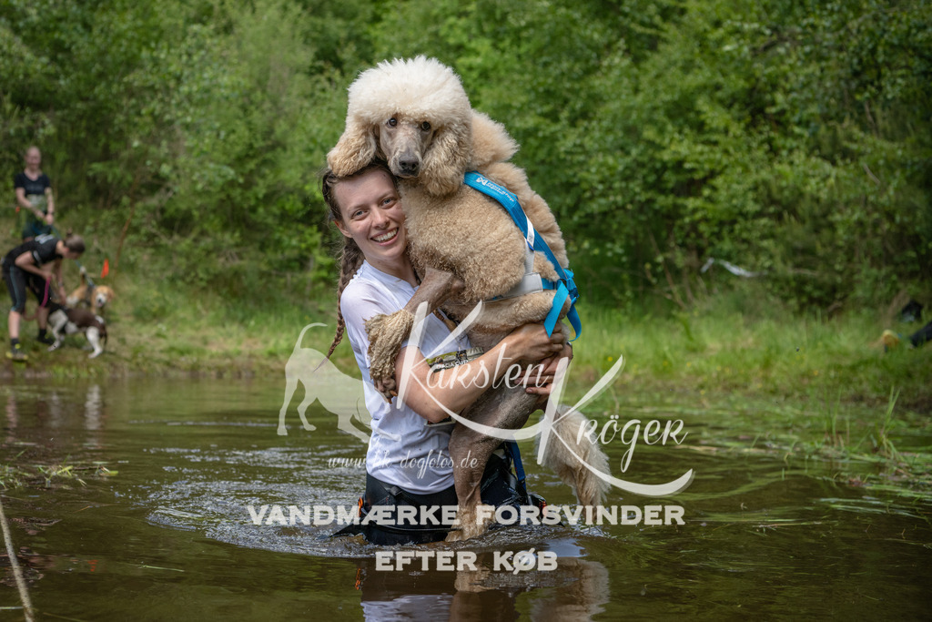 1241DKK993307 | kk-dogfotos