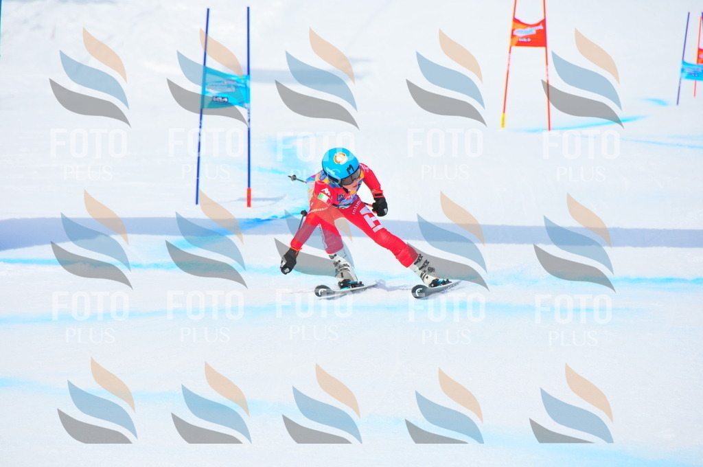 DSC_2726 | holidayphoto