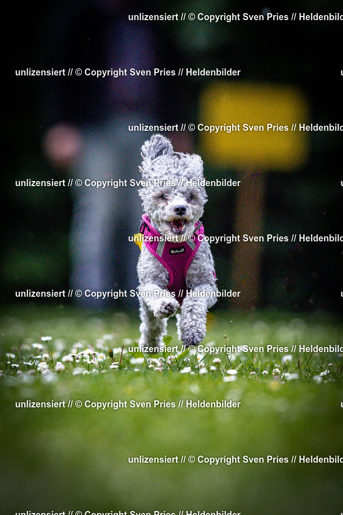 Sven Pries | 2025-05-29 - Pudelrennen KA-Durlach - Realisiert mit Pictrs.com