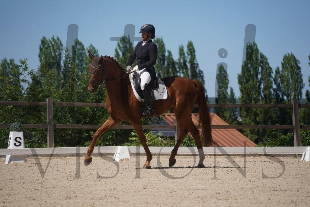 tgbhsonntag (1076) | d.tail Visions - Shop - Realisiert mit Pictrs.com