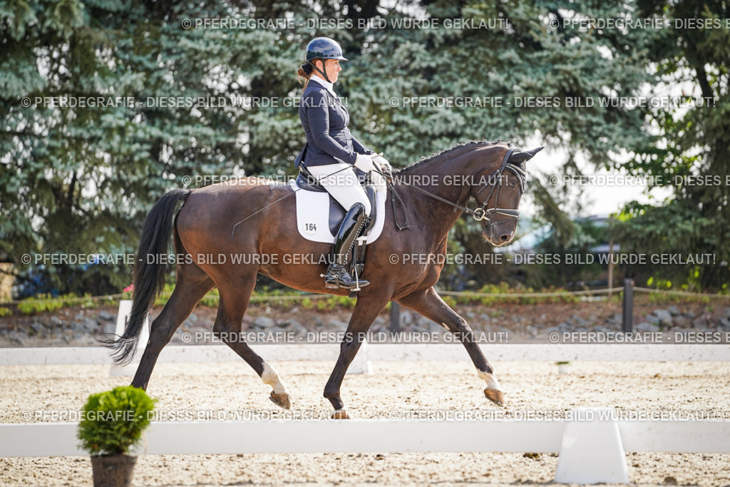 DSC06868 | Pferdegrafie