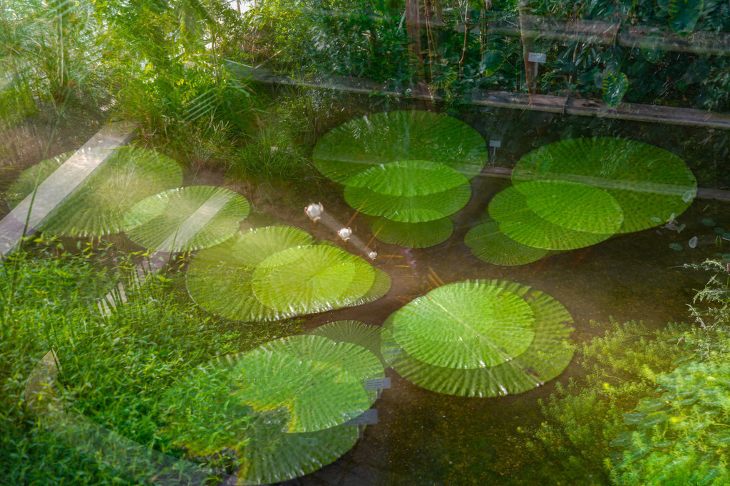 2024_01_27 A7V03415 | bridgeman - Realisiert mit Pictrs.com