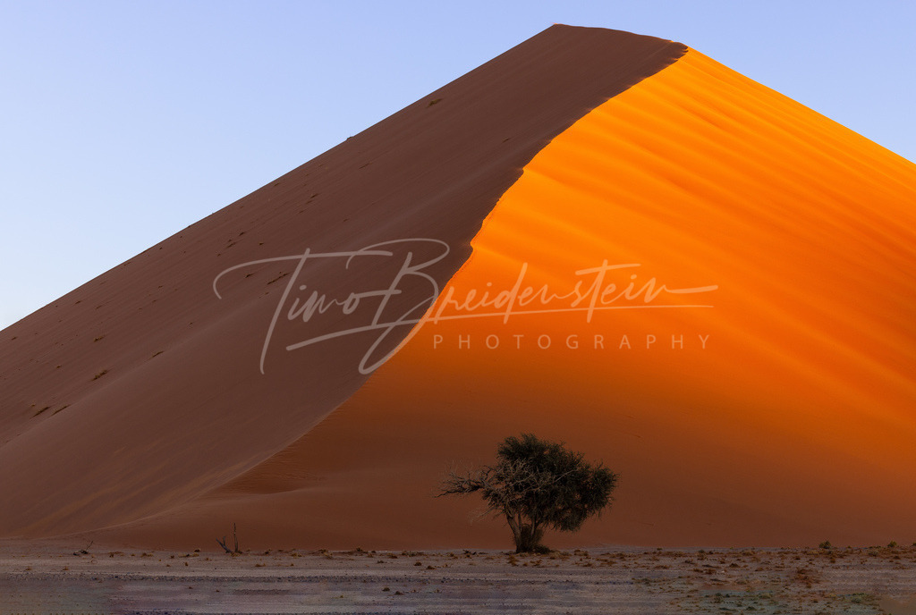 2N8A9976 Kopie 3 | Buy high-quality aviation and travel photography prints by professional photographer Timo Breidenstein. Authentic images, professionally printed, worldwide shipping. - Realisiert mit Pictrs.com