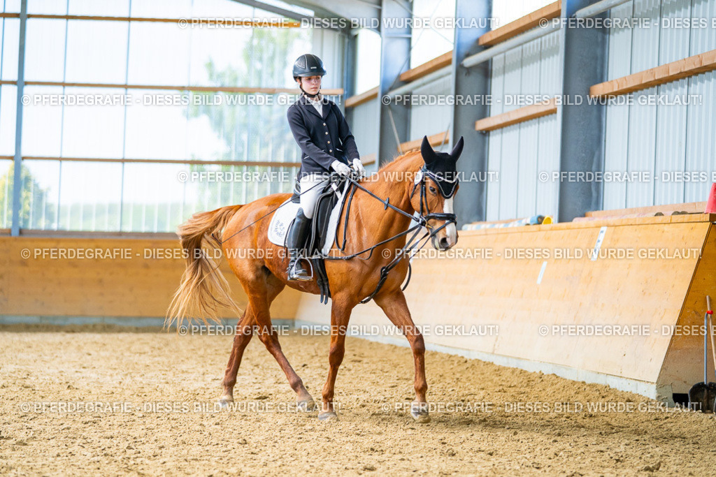 DSC09457 | Pferdegrafie