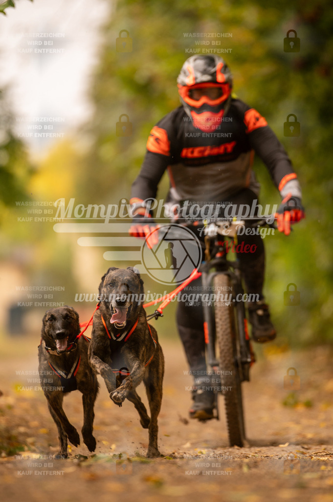 CDLBDB_14_10_2023_Samedi-192 | PayLife