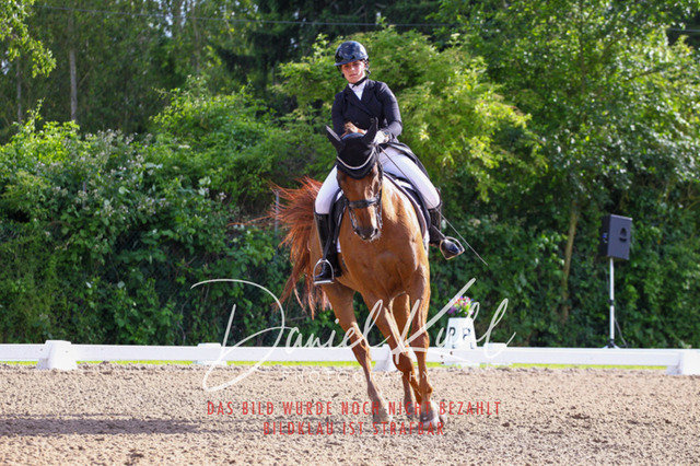 DKP41608 | Turnierfotos kaufen im Webshop von Daniel Kuhl Photography – entdecke professionelle Reitsportfotos aus Turnieren & Events. Hochwertige Turnierbilder online bestellen & sichern. Jetzt Fotos von Reitsportturnieren kaufen!