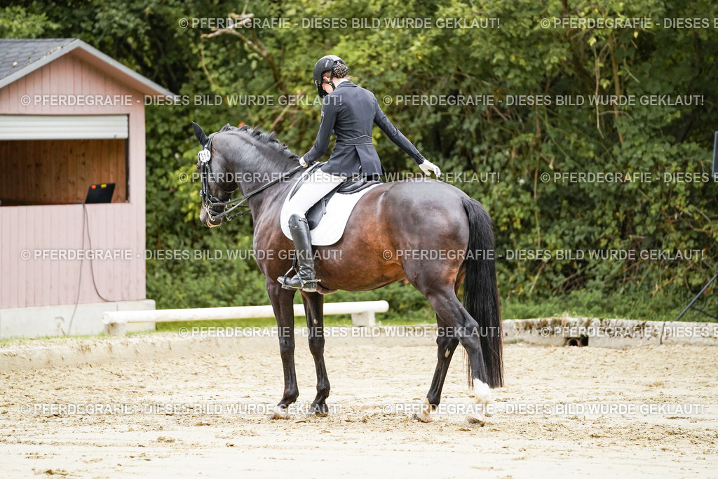 DSC04026 | Pferdegrafie