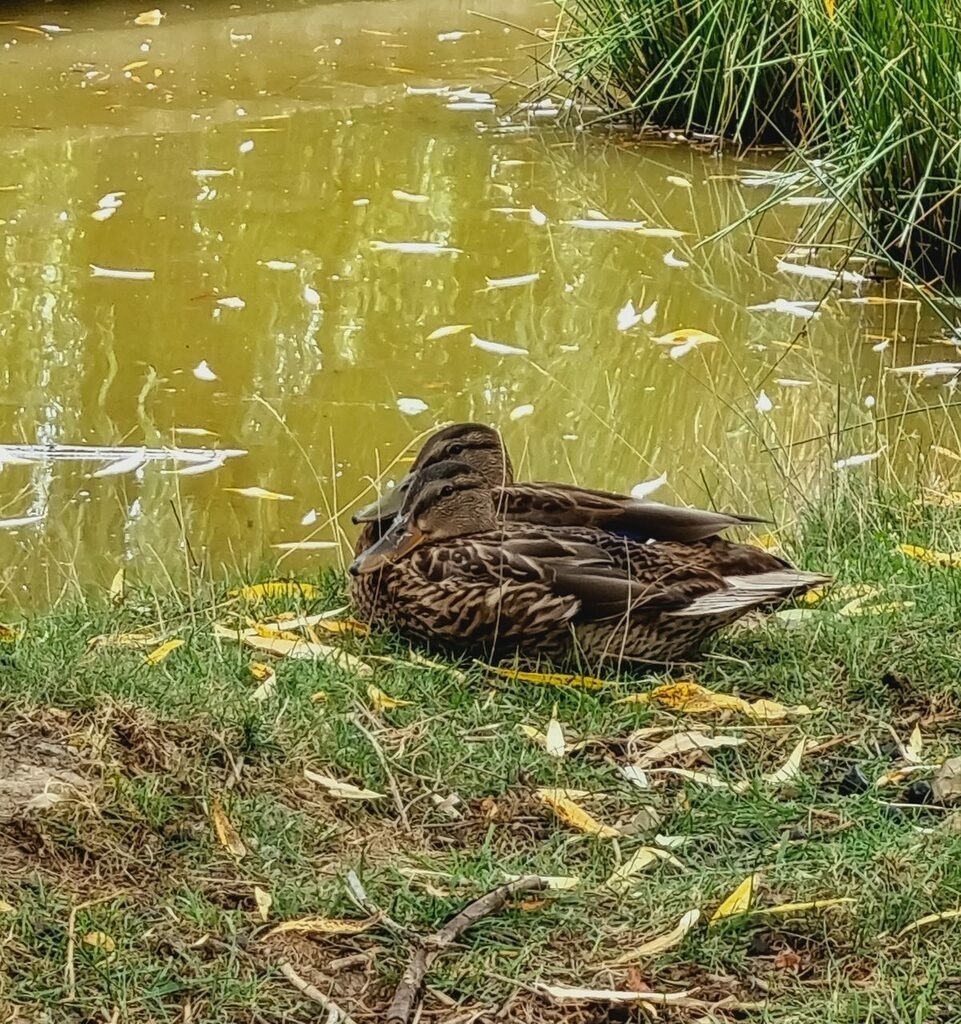 PSX_20220815_234747 | mtkfoto_ - Realisiert mit Pictrs.com