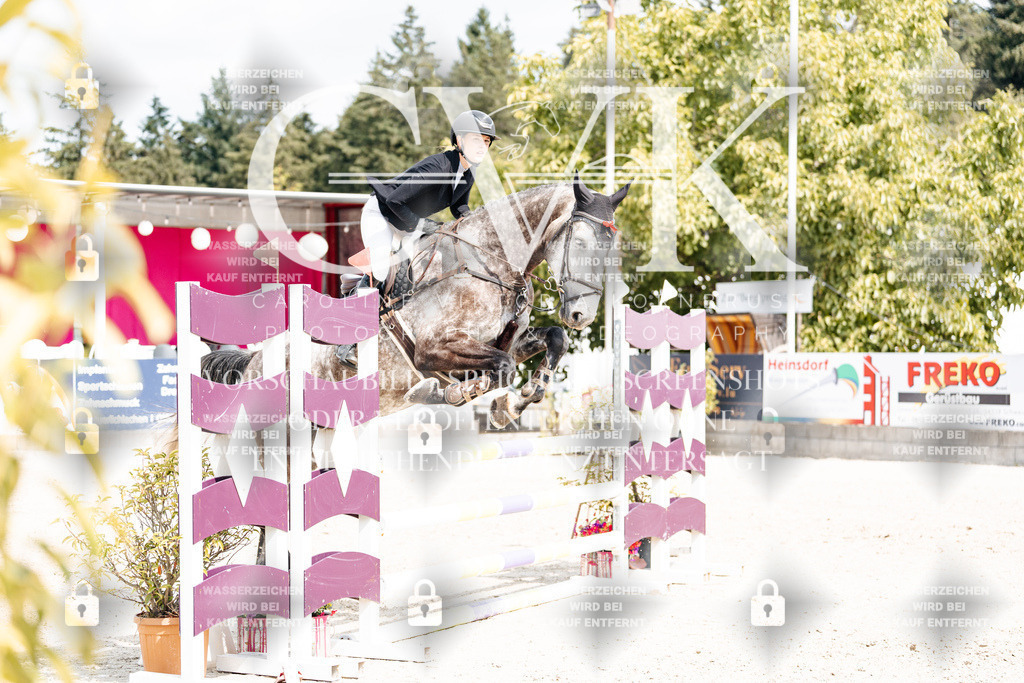 CK909045 | Turnierfotografie Pferdefotografie Trier Rheinland-Pfalz Pferdesport Reitsport Tierfotografie Sportfotografie Pferdevideo Pferdevideografie Equestrianvideography equestrianphotography  - Realisiert mit Pictrs.com
