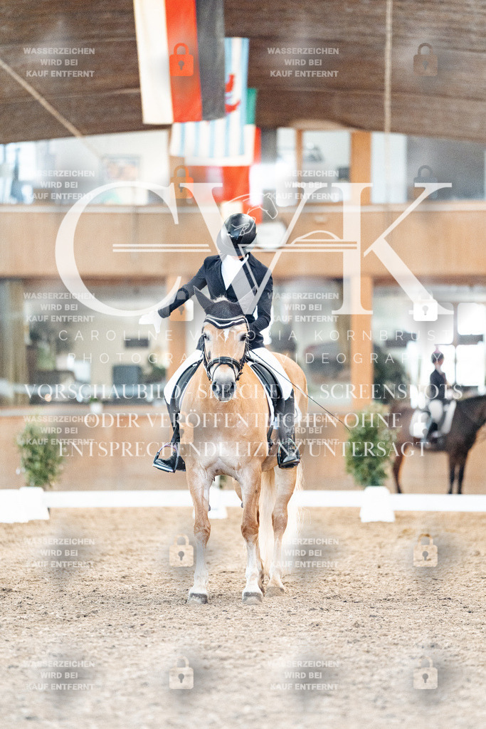 CK907122 | Turnierfotografie Pferdefotografie Trier Rheinland-Pfalz Pferdesport Reitsport Tierfotografie Sportfotografie Pferdevideo Pferdevideografie Equestrianvideography equestrianphotography  - Realisiert mit Pictrs.com